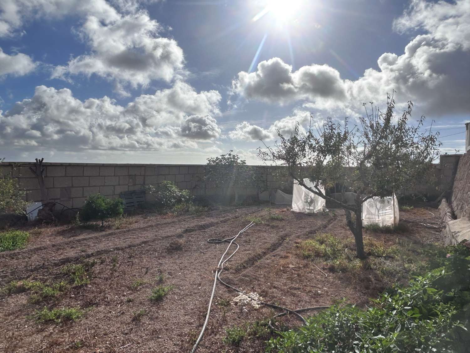 Domain en vente à El Salto-Los Blanquitos (Granadilla de Abona)